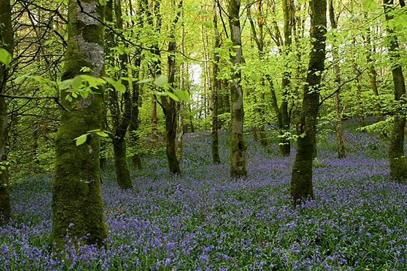 A potential campervan parking site in Monaghan was discussed at this month's Municipal District meeting