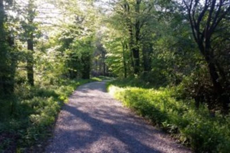 Work on Rossmore Forest cycle track progressing