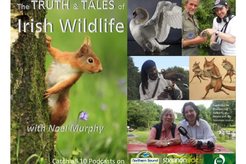 Truth &amp; Tales of Irish Wildlife