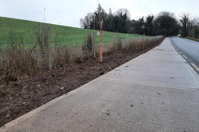 Appeal for information after theft of newly planted trees in Bailieborough