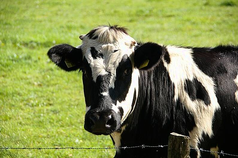 Cavan IFA event on TB tonight open to everyone