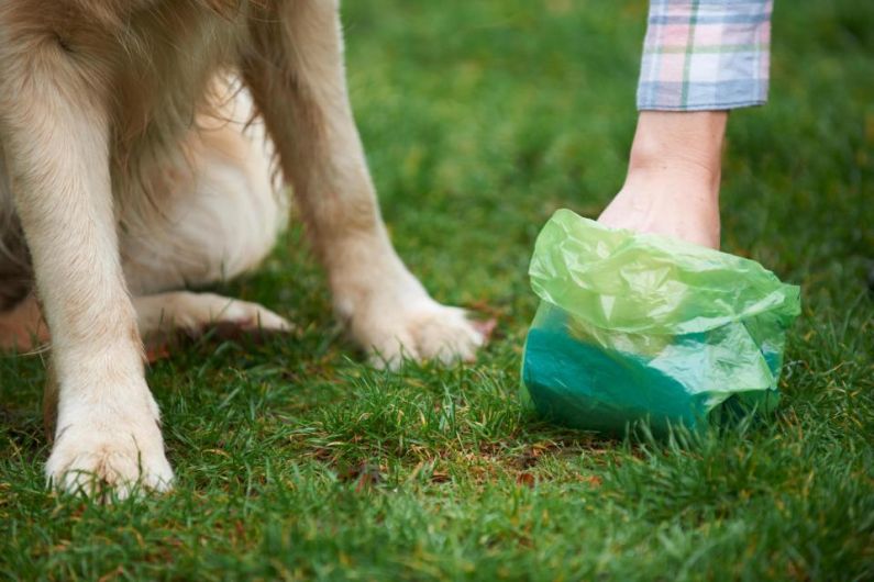 Cavan County Council hopes to work with other local authorities to tackle dog fouling.