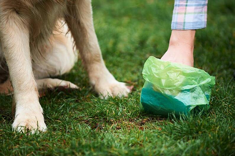 Dog litter fines need to be issued locally to tackle scourge