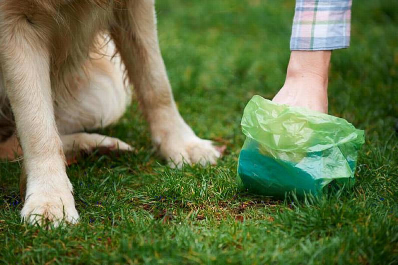 No fines for dog fouling issued locally