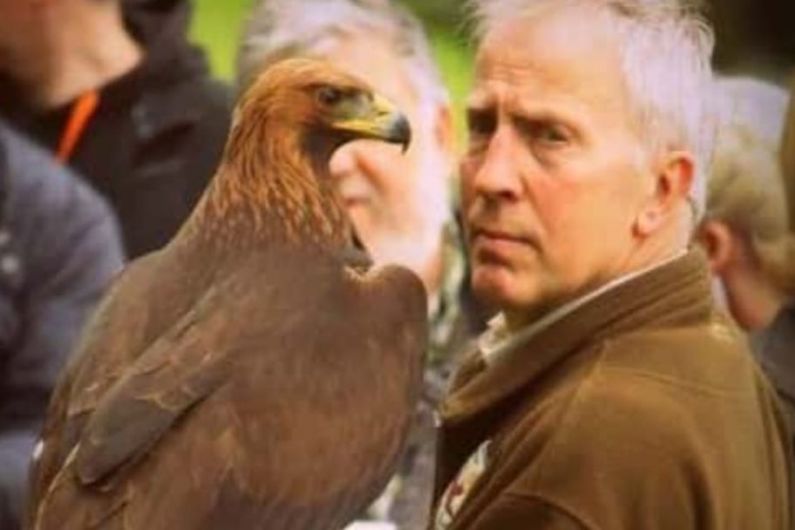 Good news as Boru the Golden Eagle is found safe in Glaslough