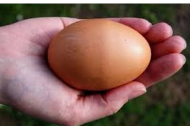 Local egg producers set to strike over 'unfair' price margins