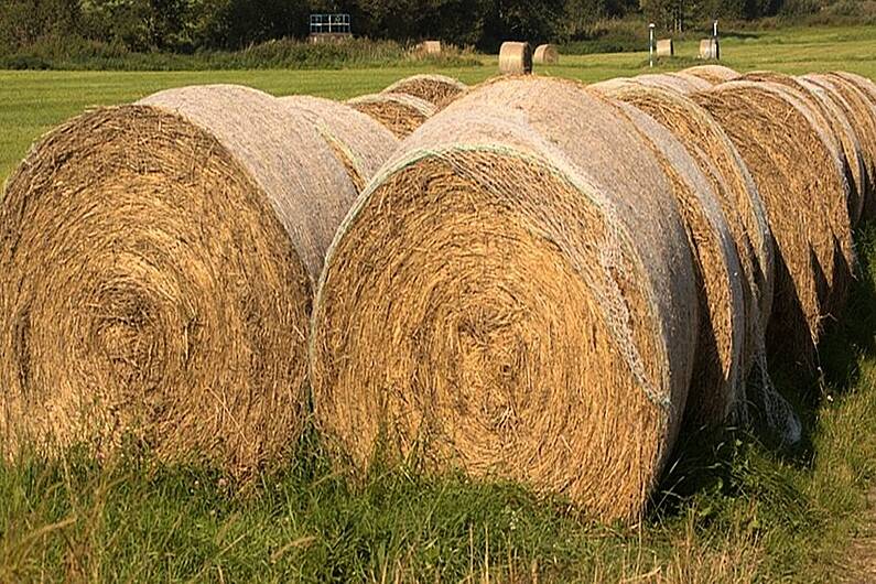 Remarkable interview with gregarious Cavan farmer