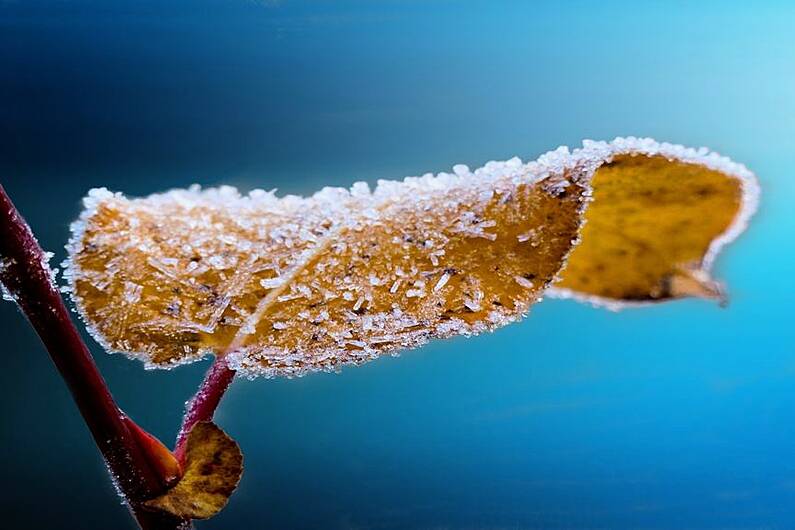 Low temperature warning issued for Cavan/Monaghan