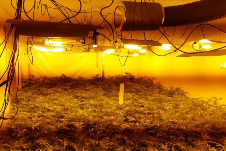 Woman arrested after suspected cannabis growhouse found in Ballyjamesduff