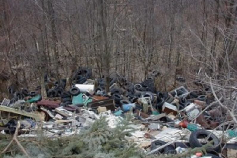 Cavan Councillor Shane P. O'Reilly has urged for larger fines when it comes to illegal dumping