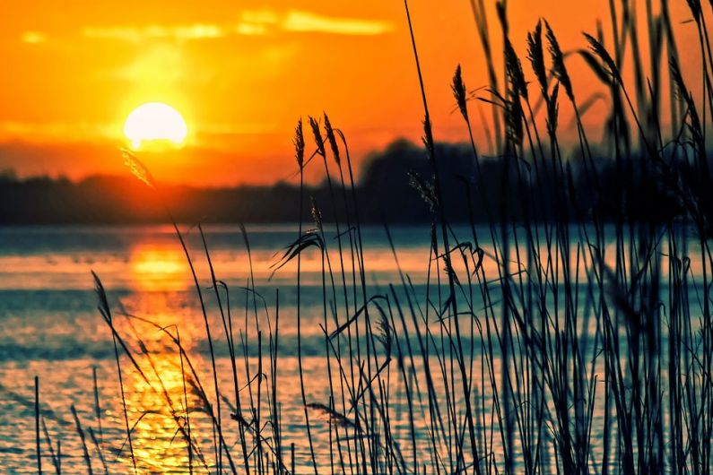 Concern raised about the deterioration of water quality at Lough Sheelin due to algae bloom