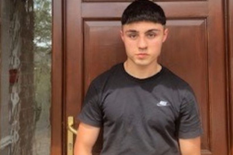 Appeal as Navan teenager reported missing