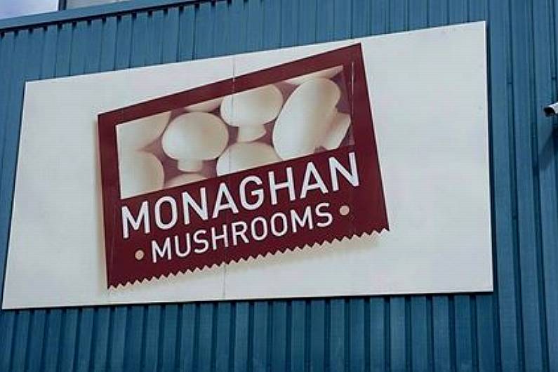 Monaghan Mushrooms appointed to supply vegetarian options to Marks & Spencers