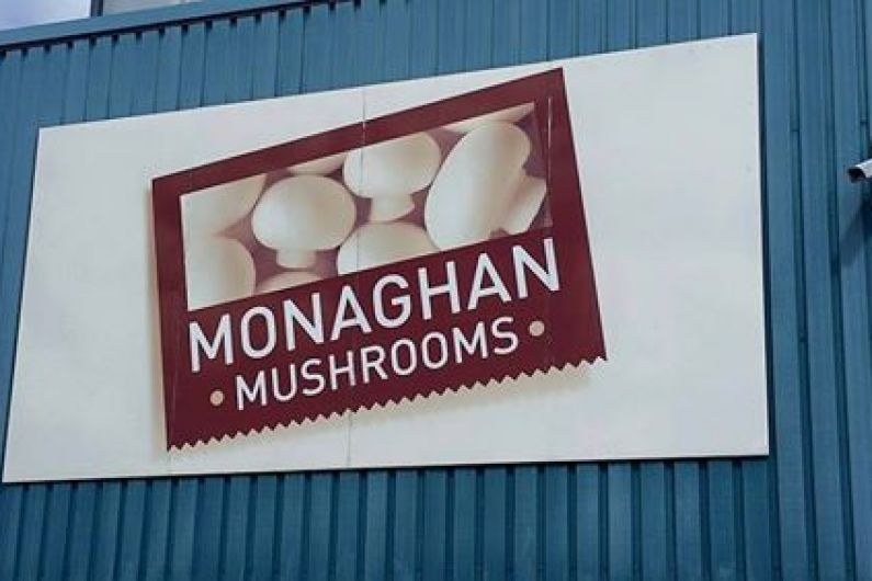 Monaghan Mushrooms featured in new environmental campaign