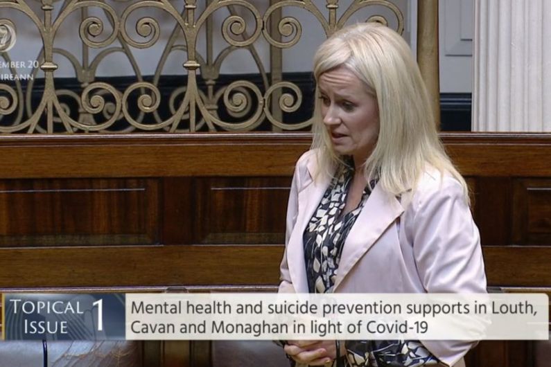 Calls for improved youth mental health supports in Cavan-Monaghan after recent suicides