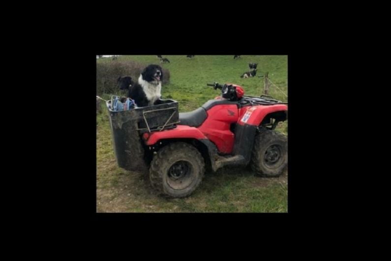 Appeal after quad stolen outside Castleblayney