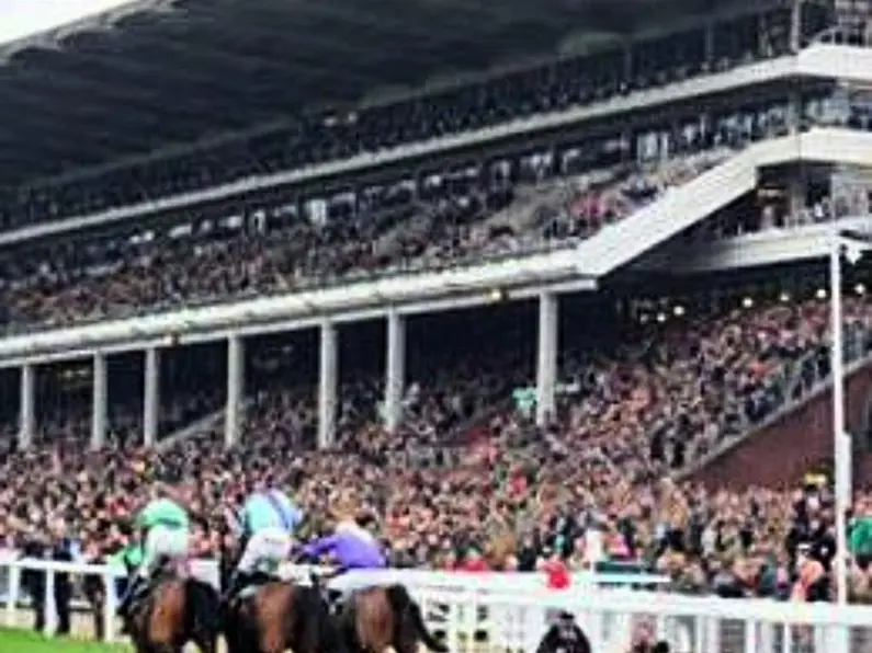 Cheltenham celebrations prompt renewed call for ban on horse racing