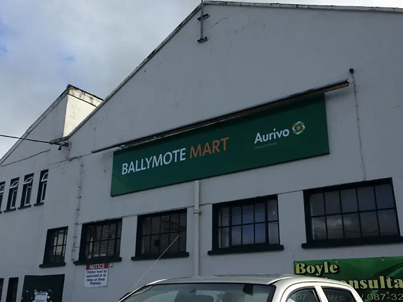 Telesis machine in Ballymote Mart car park today