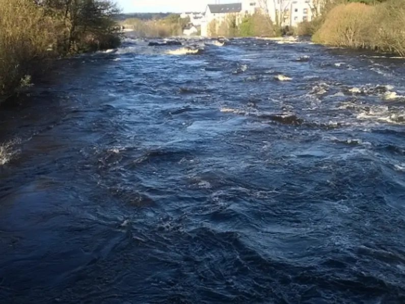 Praise for work on renowned Ballisodare salmon fishery