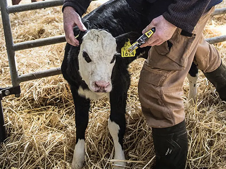 Code of Practice for BVD testing laboratories is progressing slowly