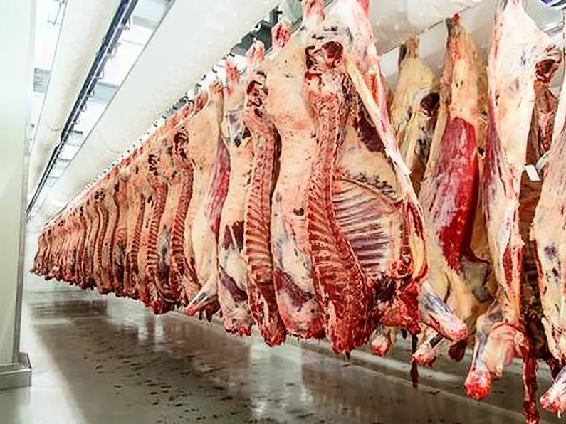 A leading local farming official is urging farmers to resist lower beef prices