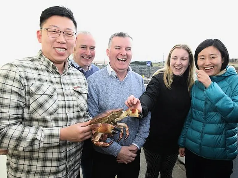 Twenty-three Chinese seafood businesses visiting Co Donegal