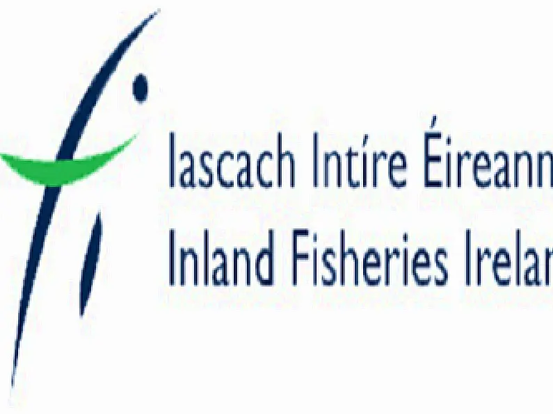 Inland Fisheries Ireland and Marine Institute launch pilot programme to track tuna