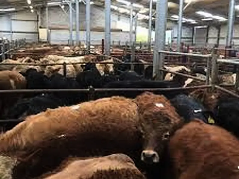 Closure of Marts represents a major blow to the Agri sector