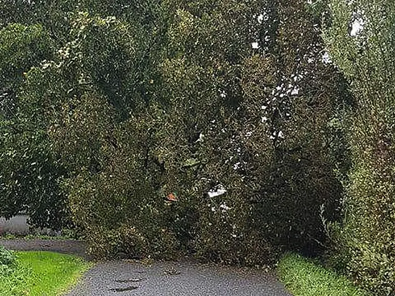 After windy night, motorists urged to beware this morning