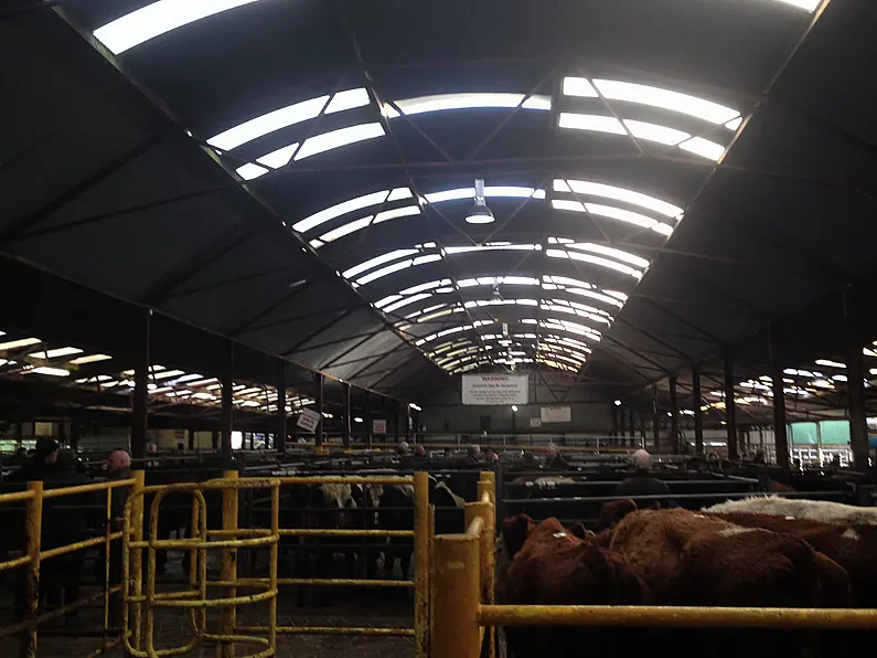 Four Aurivo marts to remain closed after man seriously injured by a bull at Mohill mart