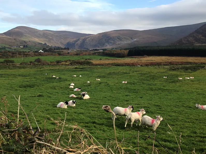 Farm families in west Sligo counting the cost after fire destroys land