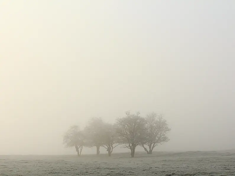 Frost and fog leading to dangerous driving conditions