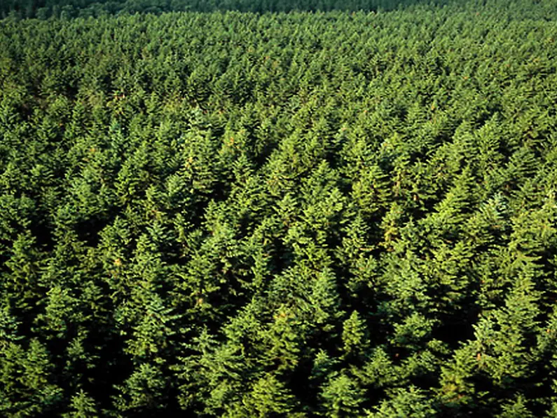 Leitrim forestry protest group heading to Claremorris this afternoon