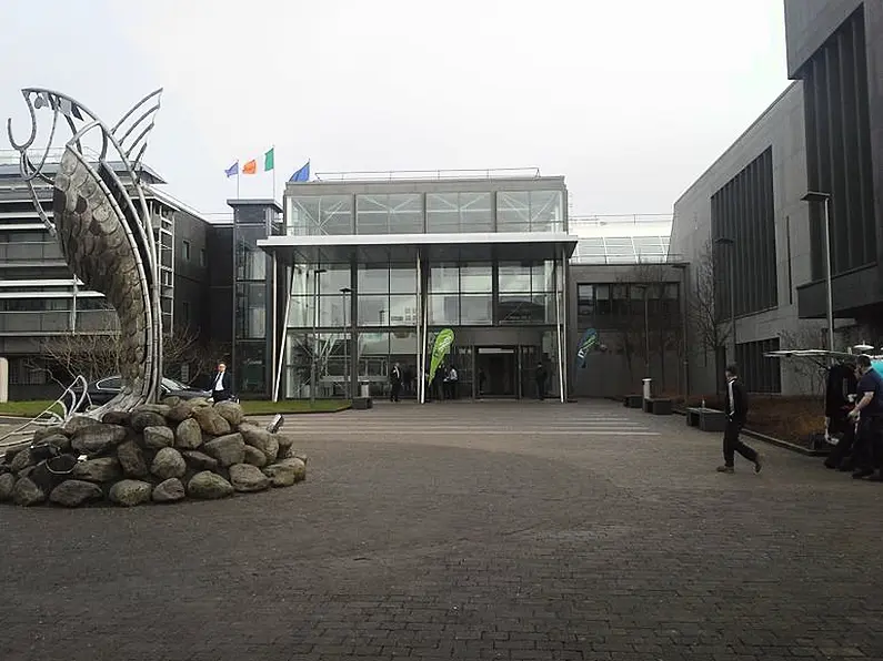 IT Sligo mourns the deaths of two of its students