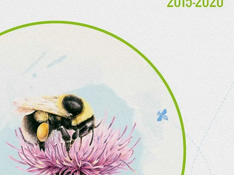 Calls for local authorities to sign up to 'All-Ireland Pollinator Plan'