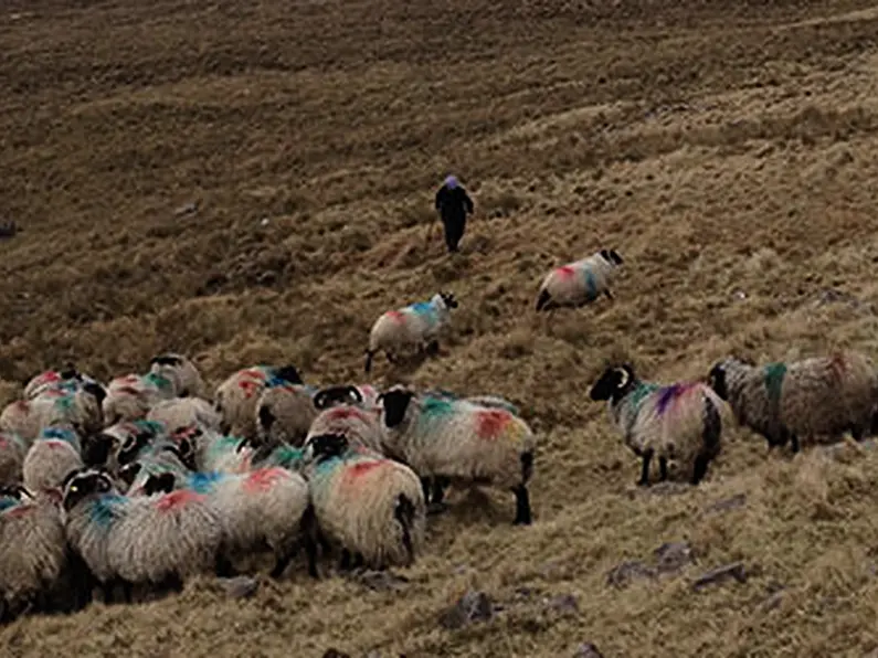 €5.9m paid to Sligo farmers under ANC scheme