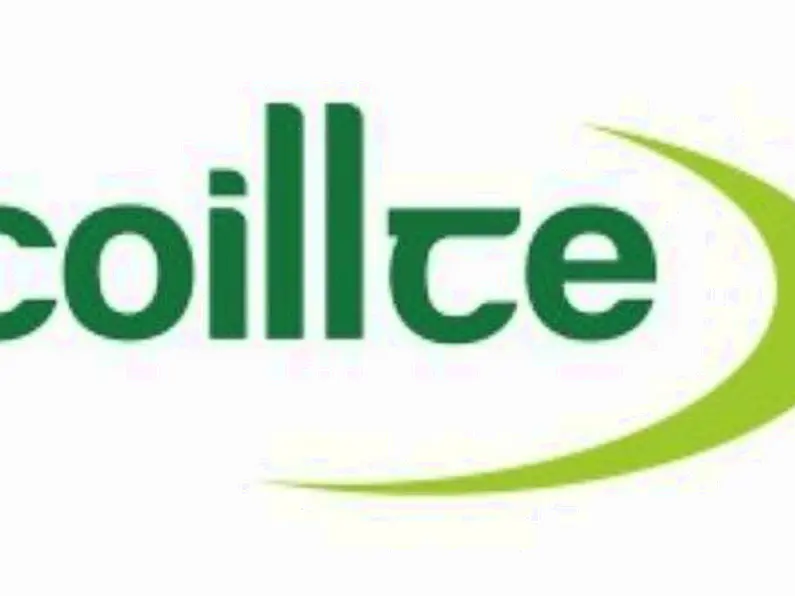 Coillte protest "a significant step in right direction"