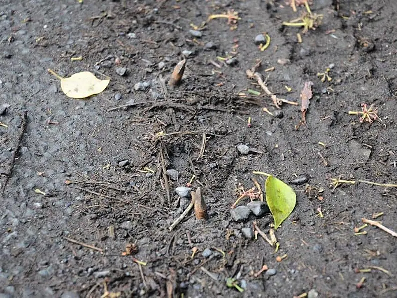 Motorists, cyclists and walkers warned about spikes found embedded in roadside