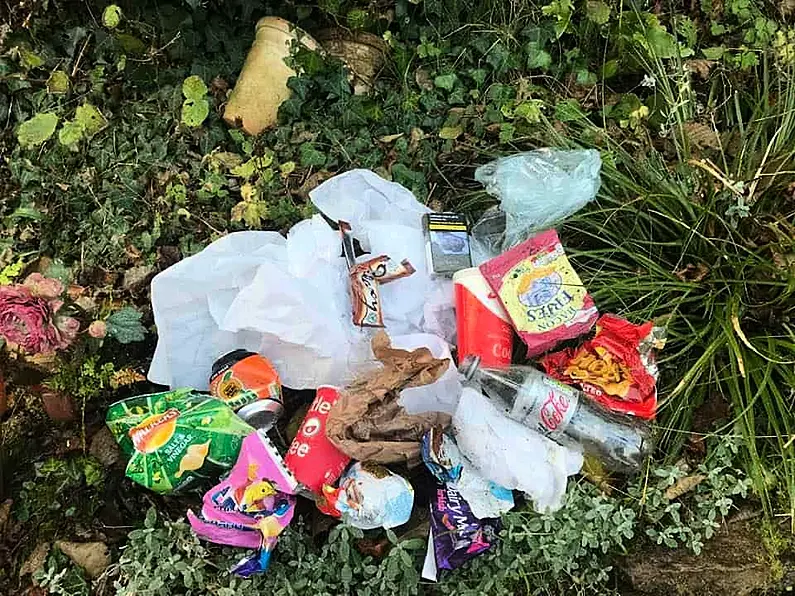 Local Councillor backs calls for tougher measures to combat illegal dumping