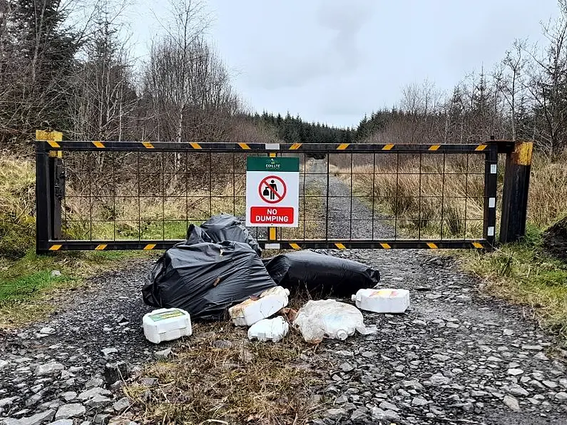 Donegal County Council investigating Lough Derg dumping incident