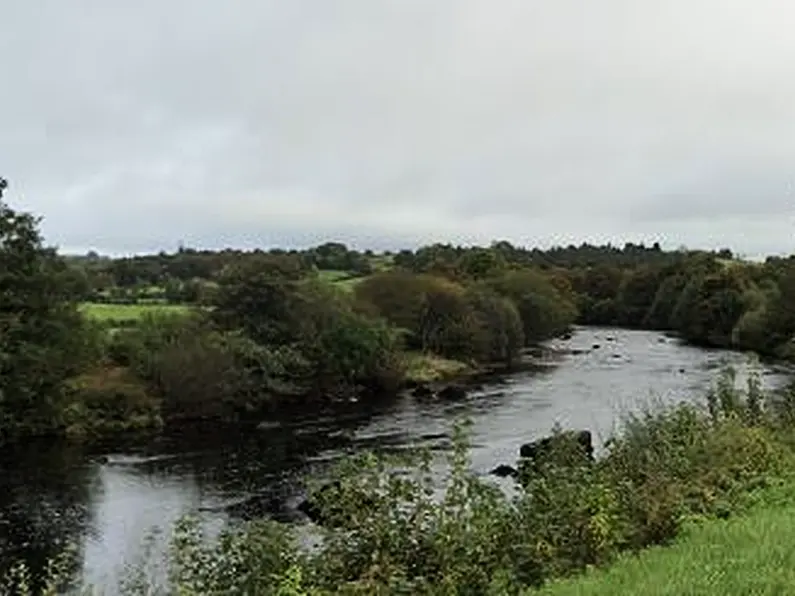 Significant fish kill in Donegal