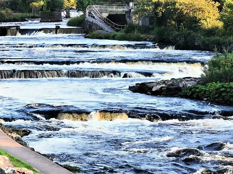 IFI issue statement on deaths of 850 salmon in Ballisodare