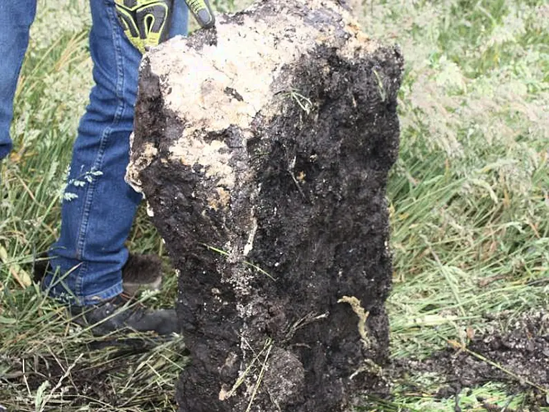 Investigation launched into discovery of bog butter in Donegal