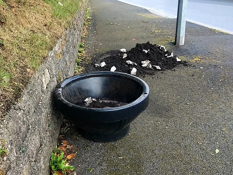 Appeal over removed hanging baskets in Donegal Town