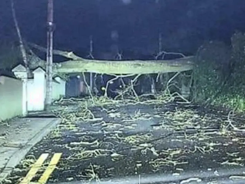 Larkhill Road reopens after tree is removed