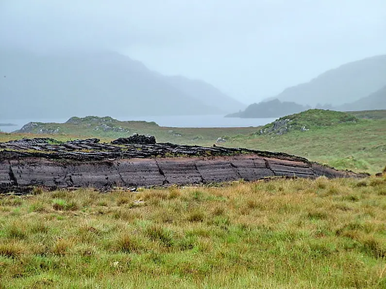 Ours to Protect - Restoring Easkey's blanket bog