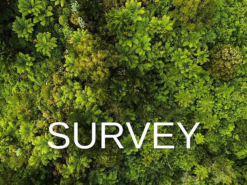 Talking Green. Take Two- SURVEY