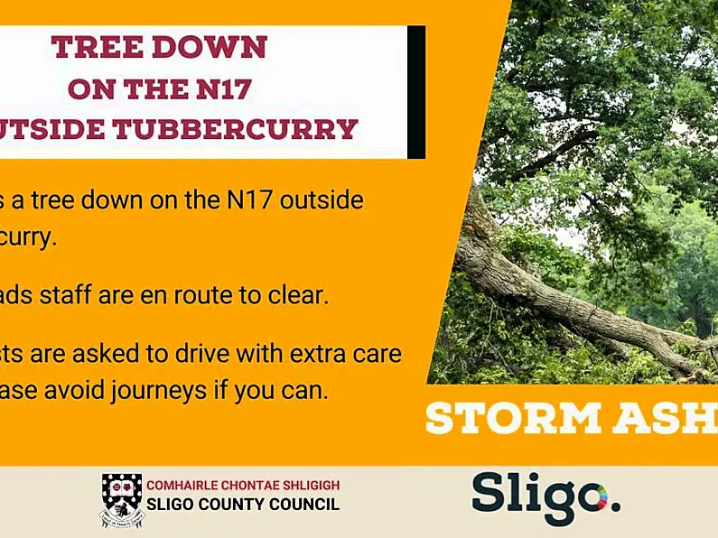 Tree down on N17 outside Tubbercurry