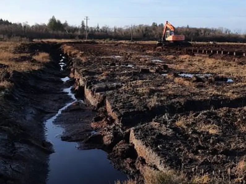 Investigation into suspected illegal peat extraction 'tip of iceberg'