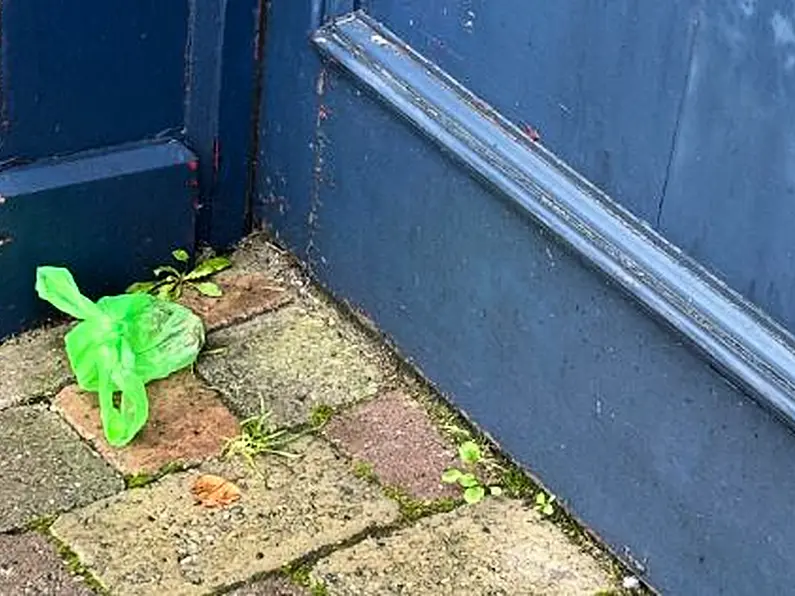 Tubbercurry Tidy Towns question logic over poop bags left in doorways